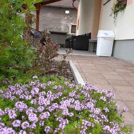 Apartmany Opolany *